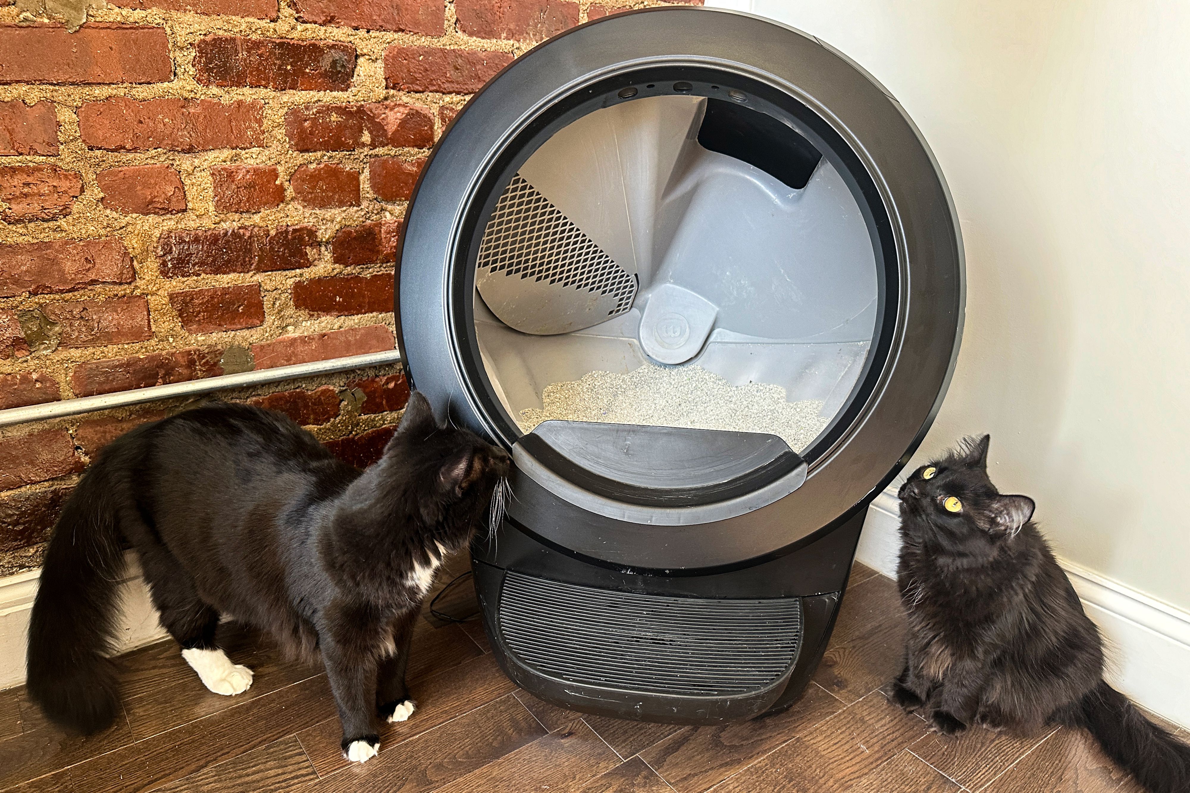 Smart Litter Box